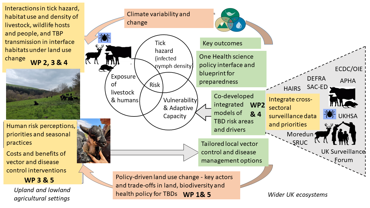 Optick One Health conceptual framework